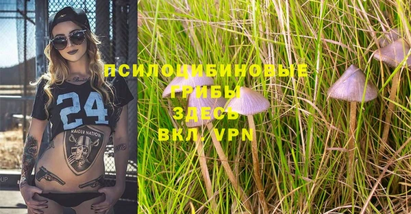 spice Бугульма
