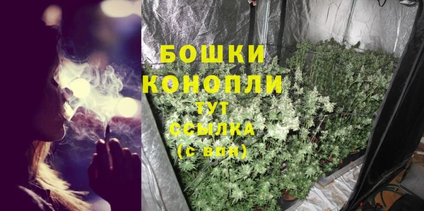 гашик Бородино
