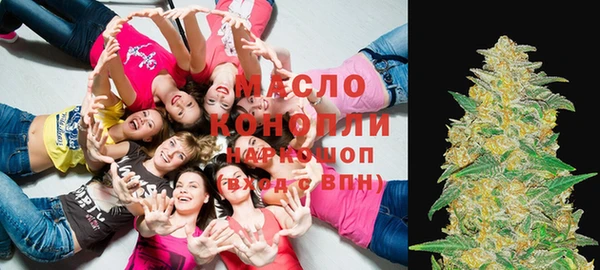 гашик Бородино