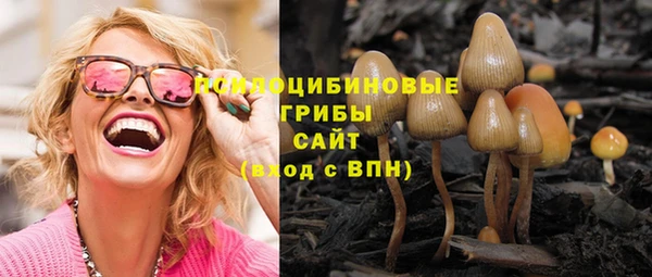 трава Верея