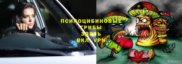 дурь Богородск